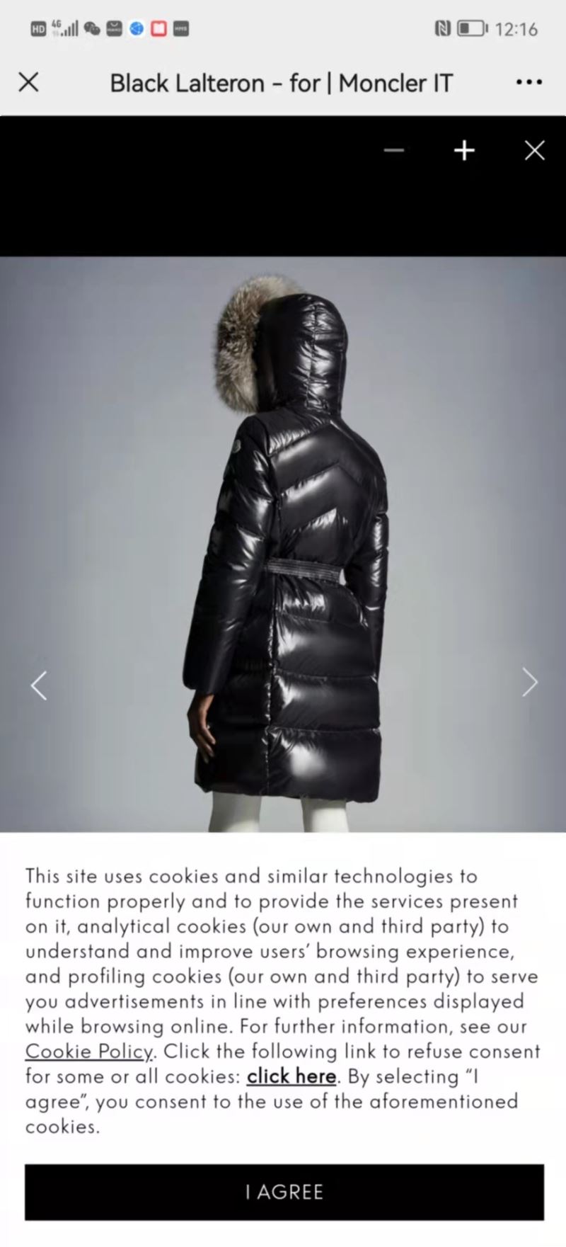 Moncler Down Jackets